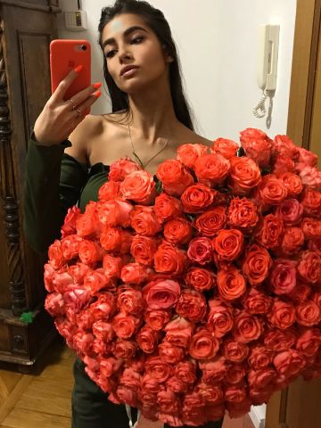 Мишель